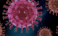 Aktuelle Informationen zum Corona Virus