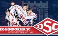 Teamarzt des DSC in der Sparte Eishockey auch in der neuen Saison 2019/2020